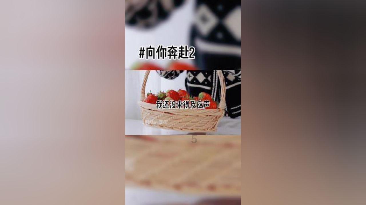 88影视